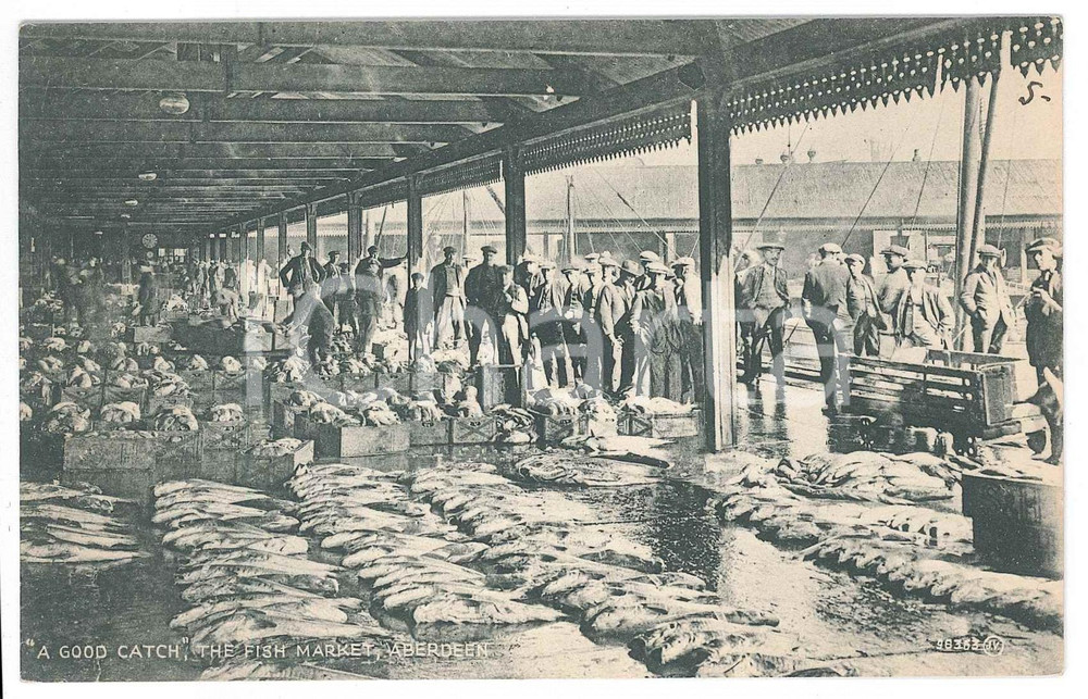 1910 ca ABERDEEN - SCOTLAND Fish market - A good catch - Postcard FP NV  Cartolina postale d'epoca, non viaggiata. FAIR/discreto Lievi smussature agli angoli Formato: FP originale e autentica 1