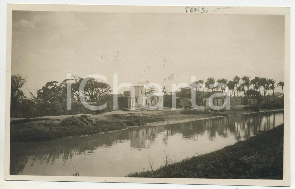 Cartolina originale da collezione 1920 ca BALIANA  L HILLIL ALGERIA Landscape with houses  Postcard FP NV 1