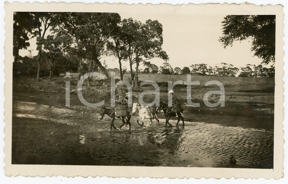 1935 ca CINA TIENTSIN Contadino cinese attraversa ruscello con asini - Foto 10x6 Fotografia d'epoca. GOOD/buono  Formato: 10x6 cm originale e autentica 1