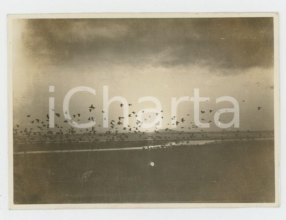 1935 ca CINA - Paesaggio fluviale con uccelli in volo - Foto VINTAGE 8x6 cm Fotografia d'epoca.CONDIZIONI: G (lieve smussamento angolare)FORMATO: 8x6 cm    originale e autentica 1