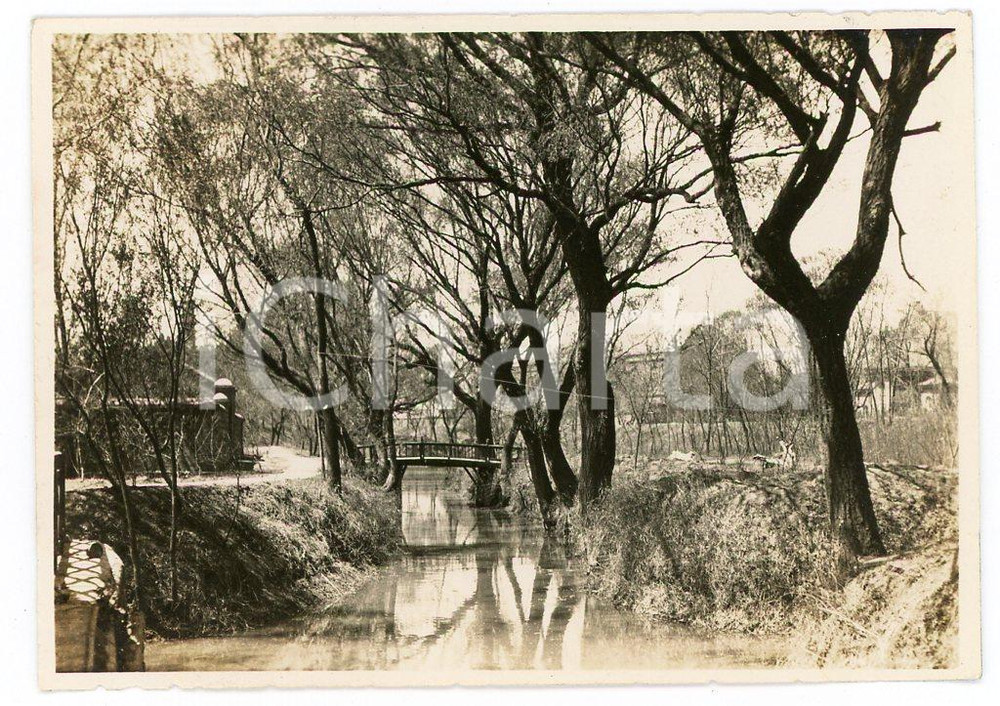 1935 ca CINA TIENTSIN - Paesaggio fluviale con alberi e ponte  - Fotografia Fotografia d'epoca. FAIR/discreto Lievi smussature angolari Formato: 8 x 6 cm originale e autentica 1