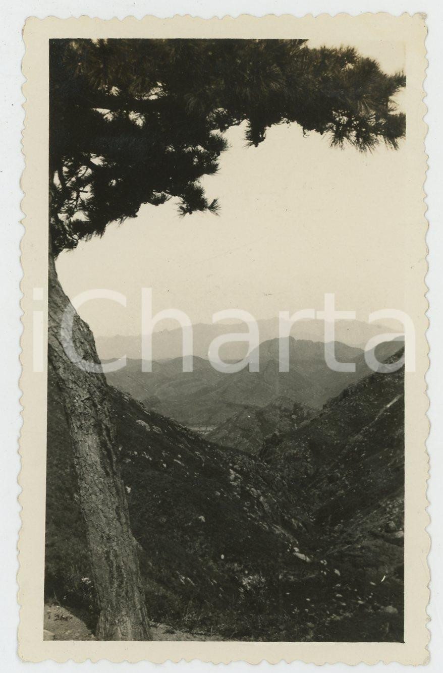 1935 ca CINA - Paesaggio di montagna (2) - Foto VINTAGE 11x7 cm Fotografia d'epoca.CONDIZIONI: F (lievi smussature angolari)FORMATO: 11x7 cm    originale e autentica 1