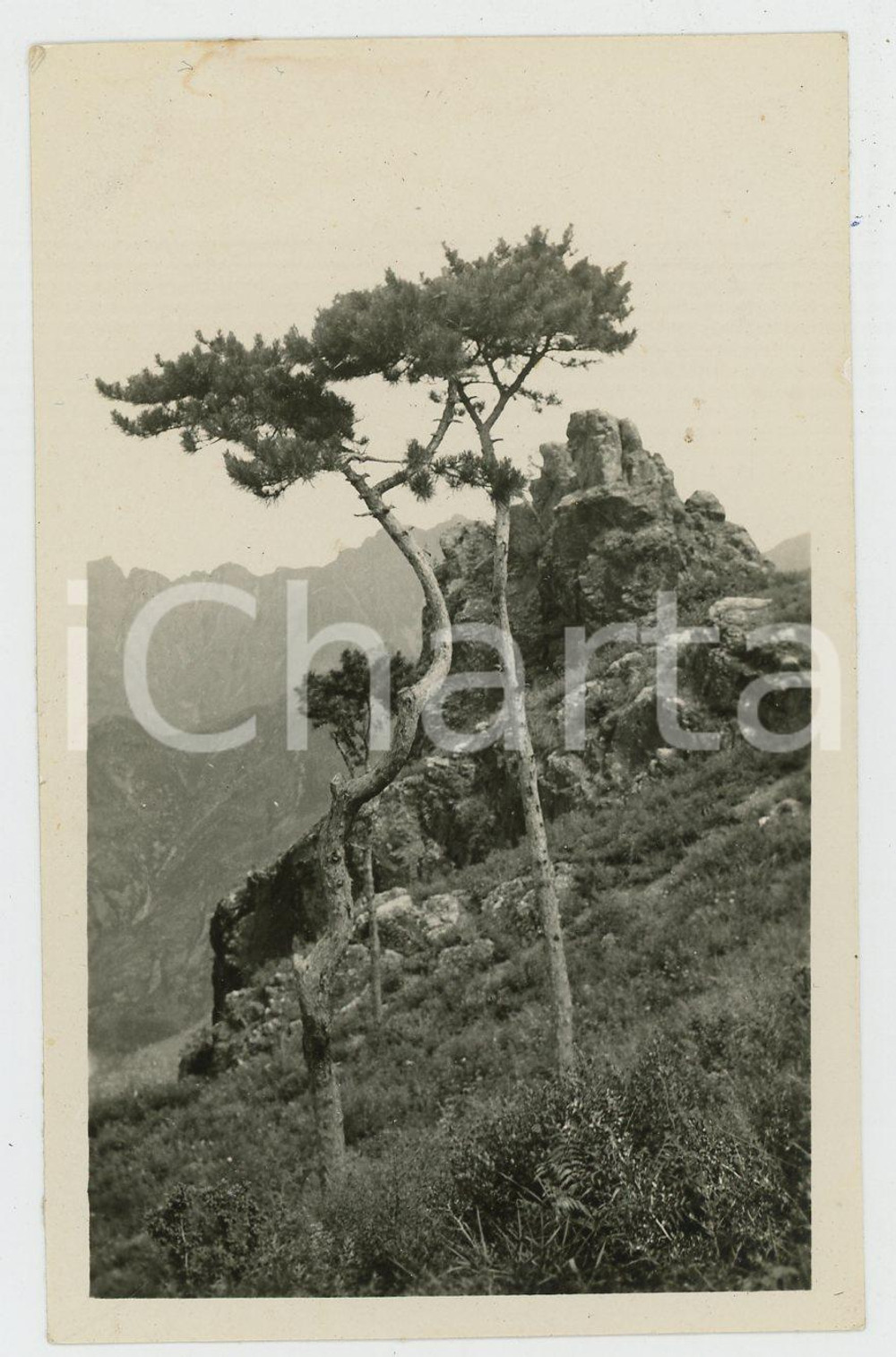 1935 ca CINA - Paesaggio di montagna con roccia - Foto VINTAGE 11x7 cm Fotografia d'epoca.CONDIZIONI: F (piccola piegatura all'angolo superiore sinistro e lieve macchia al lato superiore)FORMATO: 11x7 cm    originale e autentica 1
