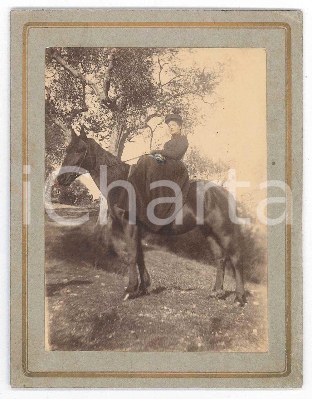 1900 ca COLLI ALBANI Ritratto di nobildonna a cavallo - Foto 10x13 cm Fotografia d'epoca montata su cartoncino rigido.CONDIZIONI: F (piccola abrasione centrale)FORMATO:  10x13 cm    originale e autentica 1