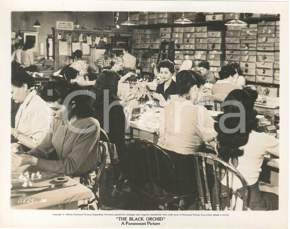 1958 CINEMA Film "The Black Orchid" - Sophia LOREN - Foto di scena 25x20 cm Fotografia d'epoca.CONDIZIONI: F (piccoli fori agli angoli)FORMATO: 25x20 cm    originale e autentica 1