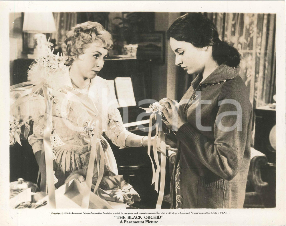 1958 CINEMA Film "The Black Orchid" - Ina BALIN - Foto di scena 25x20 cm Fotografia d'epoca.CONDIZIONI: F (fori di affissione agli angoli con minime piegature)FORMATO: 25x20 cm    originale e autentica 1