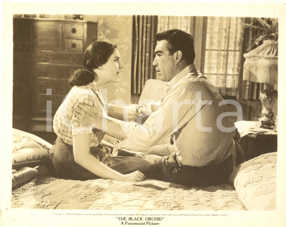 1958 CINEMA Film "The Black Orchid" Ina BALIN Anthony QUINN - Foto 25x20 Fotografia d'epoca.CONDIZIONI: F (piccoli fori agli angoli con piegature; macchia al lato inferiore)FORMATO: 25x20 cm    originale e autentica 1