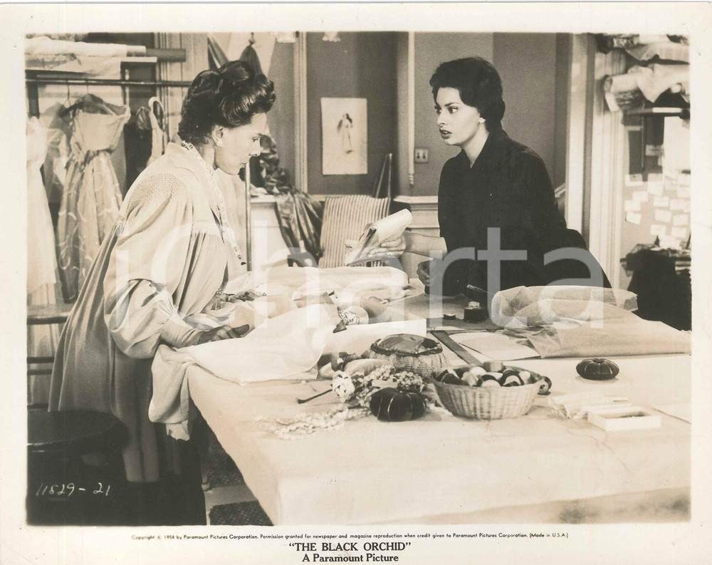 1958 CINEMA Martin RITT "The Black Orchid" - Sophia LOREN - Foto 25x20 Fotografia d'epoca.CONDIZIONI: F (piccoli fori agli angoli e piegatura angolare; lievi graffi)FORMATO: 25x20 cm    originale e autentica 1