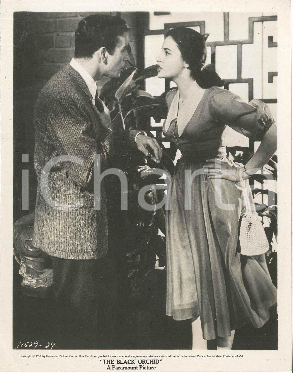 1958 CINEMA Film "The Black Orchid" Jack WASHBURN Ina BALIN - Foto 20x25 Fotografia d'epoca.CONDIZIONI: P (fori di affissione agli angoli, con piegature; lievi rigature superficiali; piegatura al lato superiore)FORMATO: 20x25 cm    originale e autentica 1
