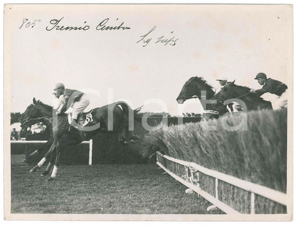 1940 ca MILANO Ippodromo di San Siro - IPPICA - Gara - Siepi *Foto 24x18 cm Fotografia originale d'epoca.CONDIZIONI: F (fiori di affissione agli angoli)FORMATO: 24x18 cm    originale e autentica 1