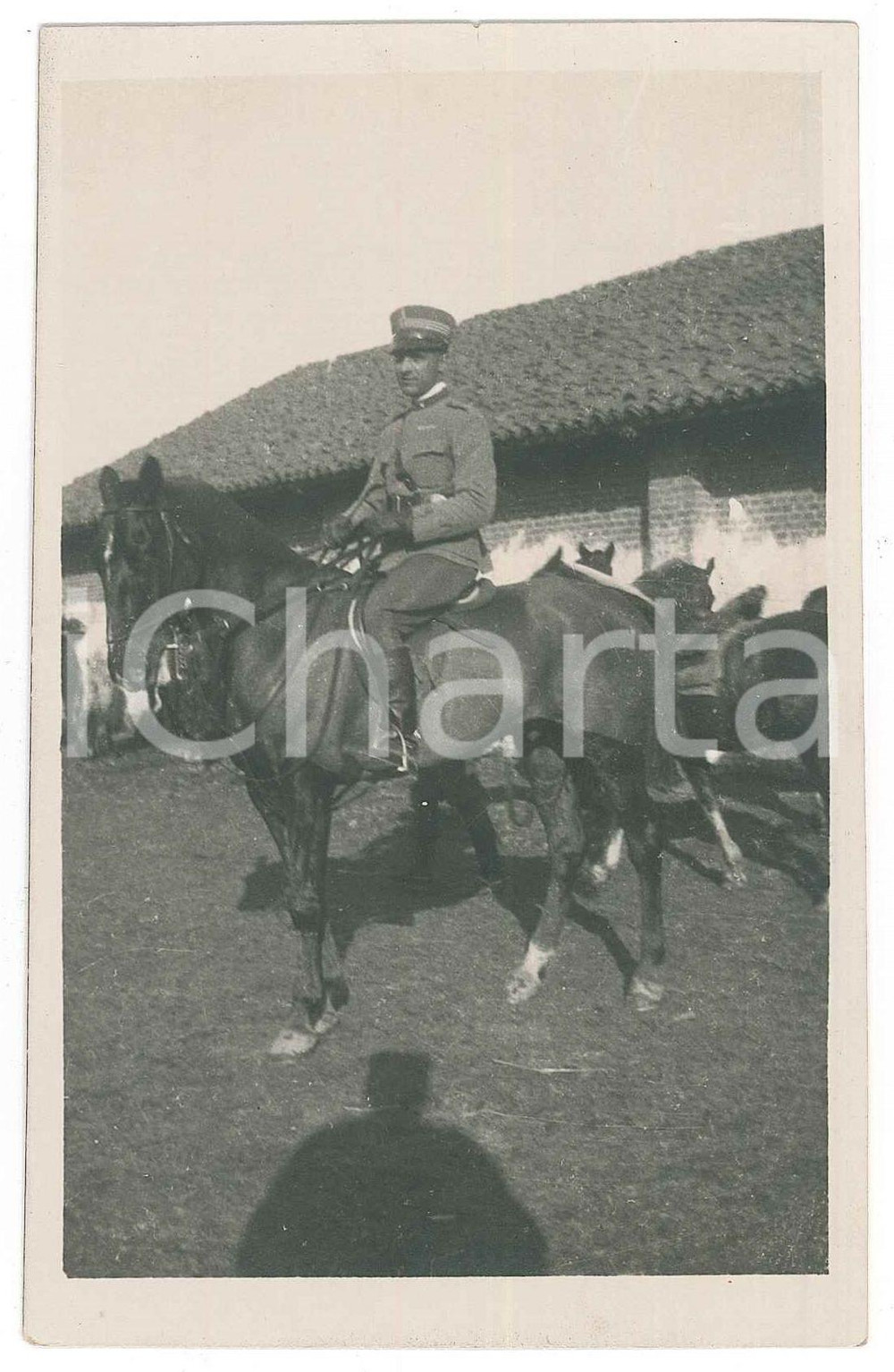 1925 ca ITALIA - IPPICA - Ufficiale a cavallo *Foto 9x14 cm Fotografia d'epoca, in formato cartolina postale.  GOOD/buono  Formato: 9x14 cm originale e autentica 1
