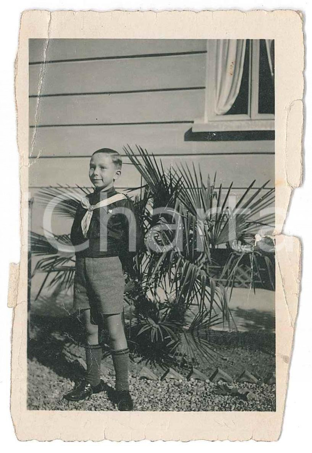 1936 MILANO Bambino in divisa da balilla - Ritratto - Foto 7x9 cm Fotografia d'epoca, con dedica al verso di "Piero" ai nonni. VERY POOR/gravemente danneggiato piegature evidenti, strappi e mancanze al lato destro Formato: 7x9 cm originale e autentica 1