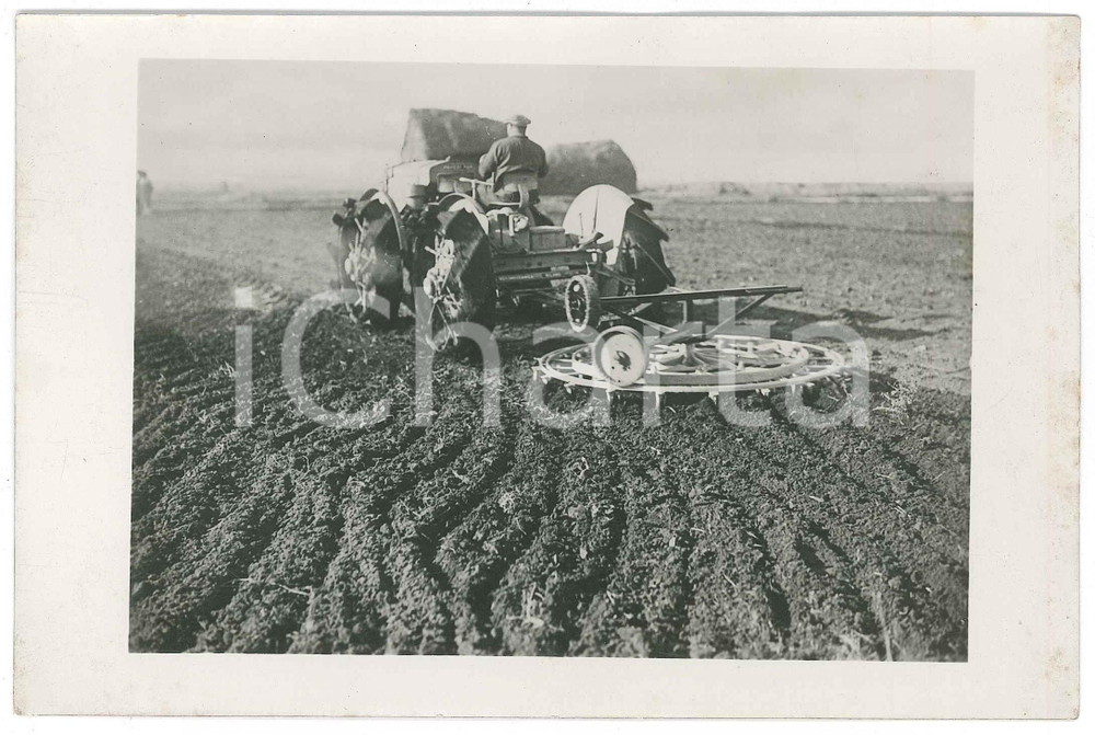 1940 ca PUGLIA - Erpicoltura - Contadino con trattore PAVESI P4M - Foto 18x12 Fotografia d'epoca, con didascalia manoscritta al verso e timbro "La Motomeccanica - Milano". FAIR/discreto fioriture al lato destro Formato: 18x12 cm originale e autentica 1