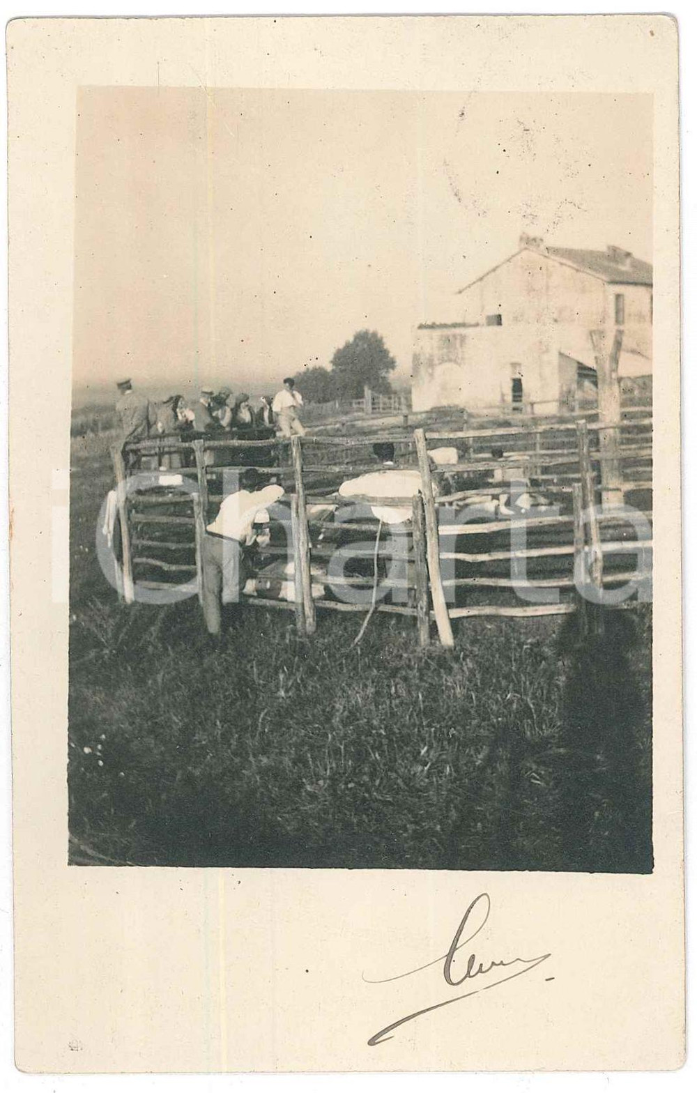 1915 FIANO ROMANO Famiglia presso un recinto di animali - Foto 9x14 cm  Fotografia d'epoca, in formato cartolina postale, viaggiata. GOOD/buono lieve macchia di inchiostro al lato superiore Formato: 9x14 cm originale e autentica 1