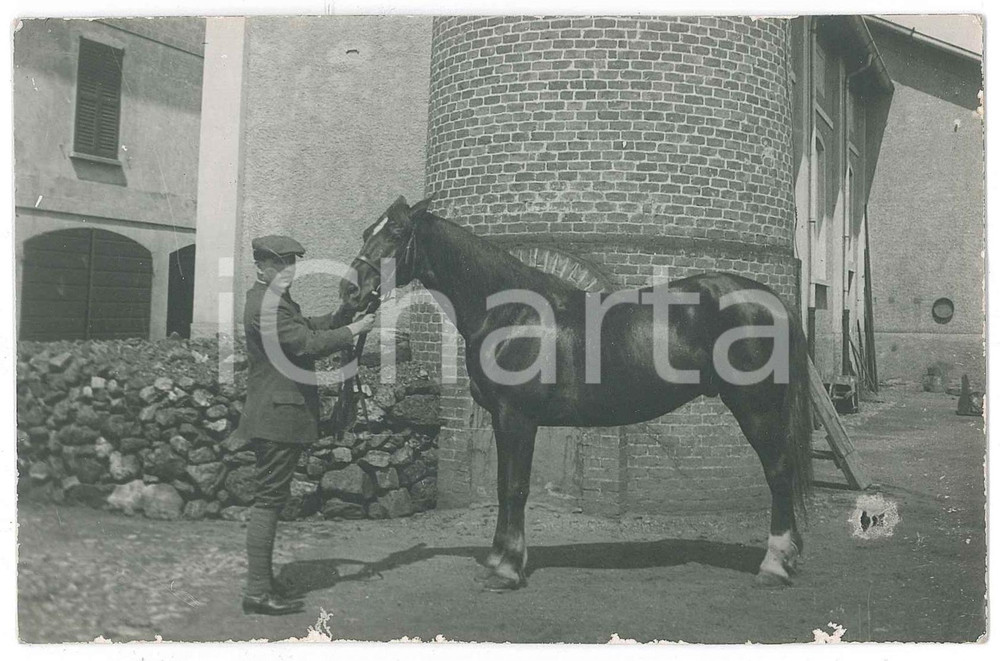 1920 ca ITALIA - EQUITAZIONE - Fantino e cavallo - Ritratto 14x9 cm Fotografia d'epoca, in formato cartolina postale. FAIR/discreto abrasioni marginali Formato: 14x9 cm originale e autentica 1