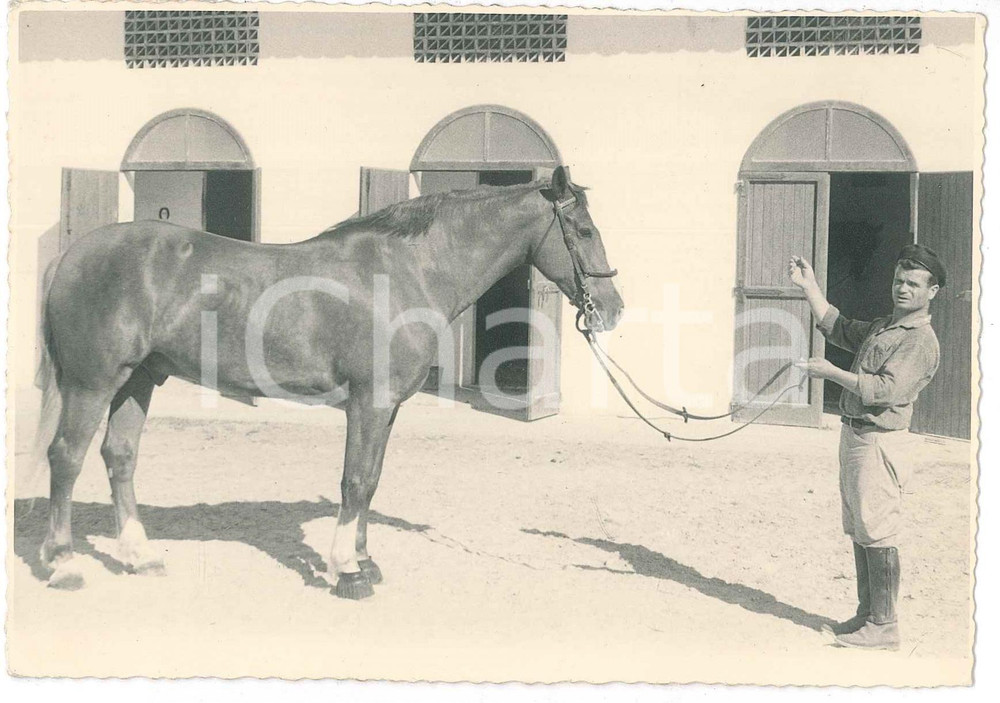 1940 ca ITALIA - EQUITAZIONE - Fantino e cavallo - Ritratto 15x10 cm Fotografia d'epoca. GOOD/buono  Formato: 15x10 cm originale e autentica 1