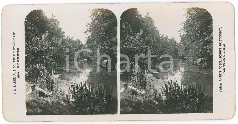 1890 ca GERMANY Bilder aus Deutschen Waldungen - Im Hochsommer *Stereoview 212 Fotografia stereoscopica d'epoca, su cartoncino.FOTOGRAFO: AristophotEDITORE: Taucha-Leipzig  GOOD/buono  Formato: 18x9 cm originale e autentica 1