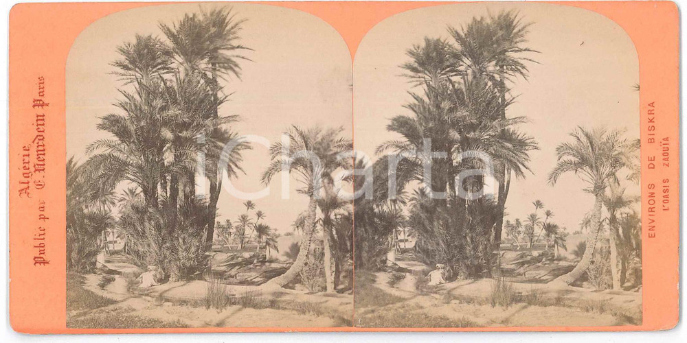 1880 ca ALGERIE - BISKRA L'Oasis ZAOUIA - Stereoview NEURDEIN PARIS Fotografia stereoscopica d'epoca, su cartoncino rigido.EDITORE: Neurdein - Paris GOOD/buono  Formato: 18x9 cm originale e autentica 1
