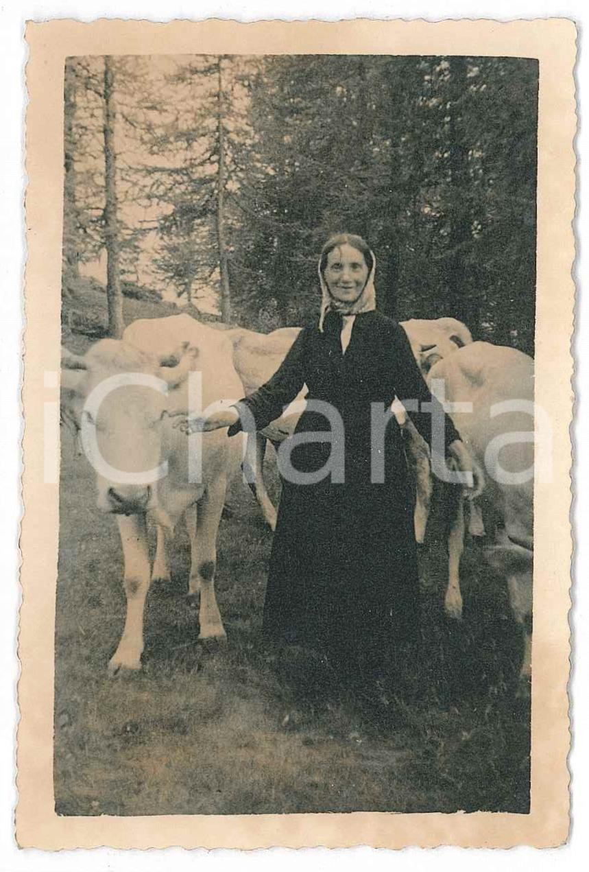 1940 ca s. l. ITALIA Anziana donna con le mucche al pascolo *Foto VINTAGE 7x10  Fotografia d'epoca. GOOD/buono  Formato: 7x10 cm originale e autentica 1