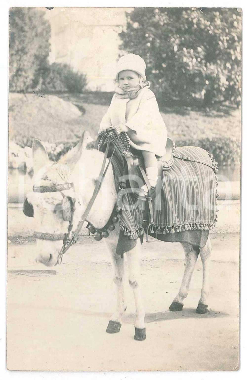 1930 MARSEILLE (FRANCE) Ritratto di bambina su asinello bardato - Foto VINTAGE  Fotografia d'epoca, in formato cartolina postale, con dedica al verso. GOOD/buono minima smussatura angolare Formato: 9x14 cm originale e autentica 1