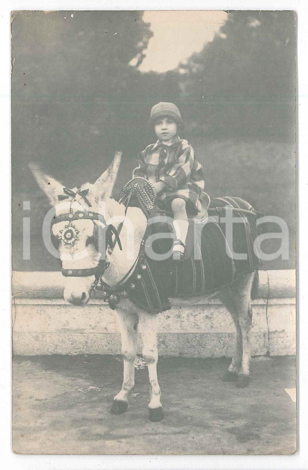 1926 s.l. COSTUME Ritratto di bambina su asinello bardato - Foto VINTAGE  Fotografia d'epoca, in formato cartolina postale, con dedica al verso. FAIR/discreto minime sbrecciature marginali e fioriture al verso Formato: 9x14 cm originale e autentica 1