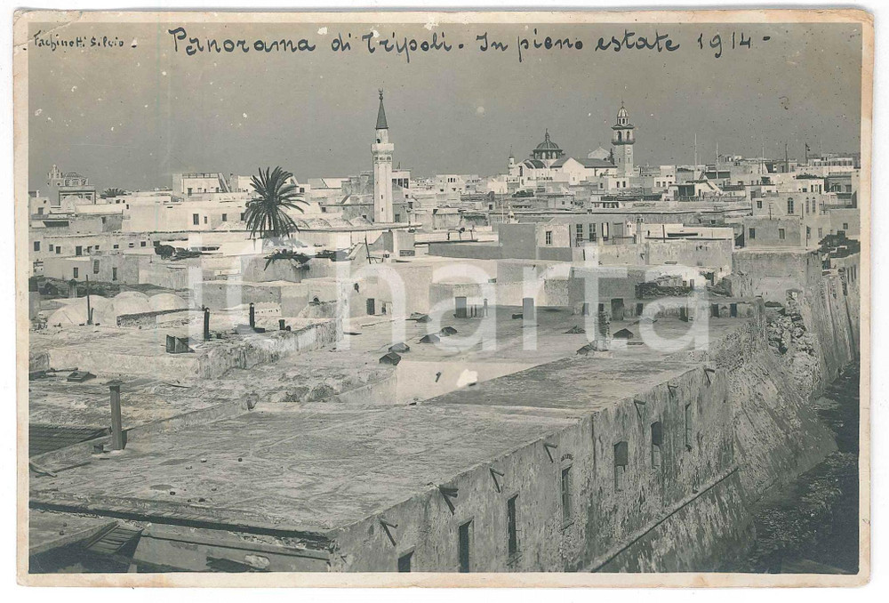 1914 TRIPOLI (LIBIA ITALIANA) Panorama in piena estate - Foto 17x11 cm Fotografia d'epoca, con didascalia manoscritta al recto.FOTOGRAFO: Silvio Fachinotti POOR/danneggiato piegature angolari, con lievi gualciture marginali e minimi strappi; difetti di stampa; vasto residuo cartaceo e di colla al verso Formato: 17x11 cm originale e autentica 1