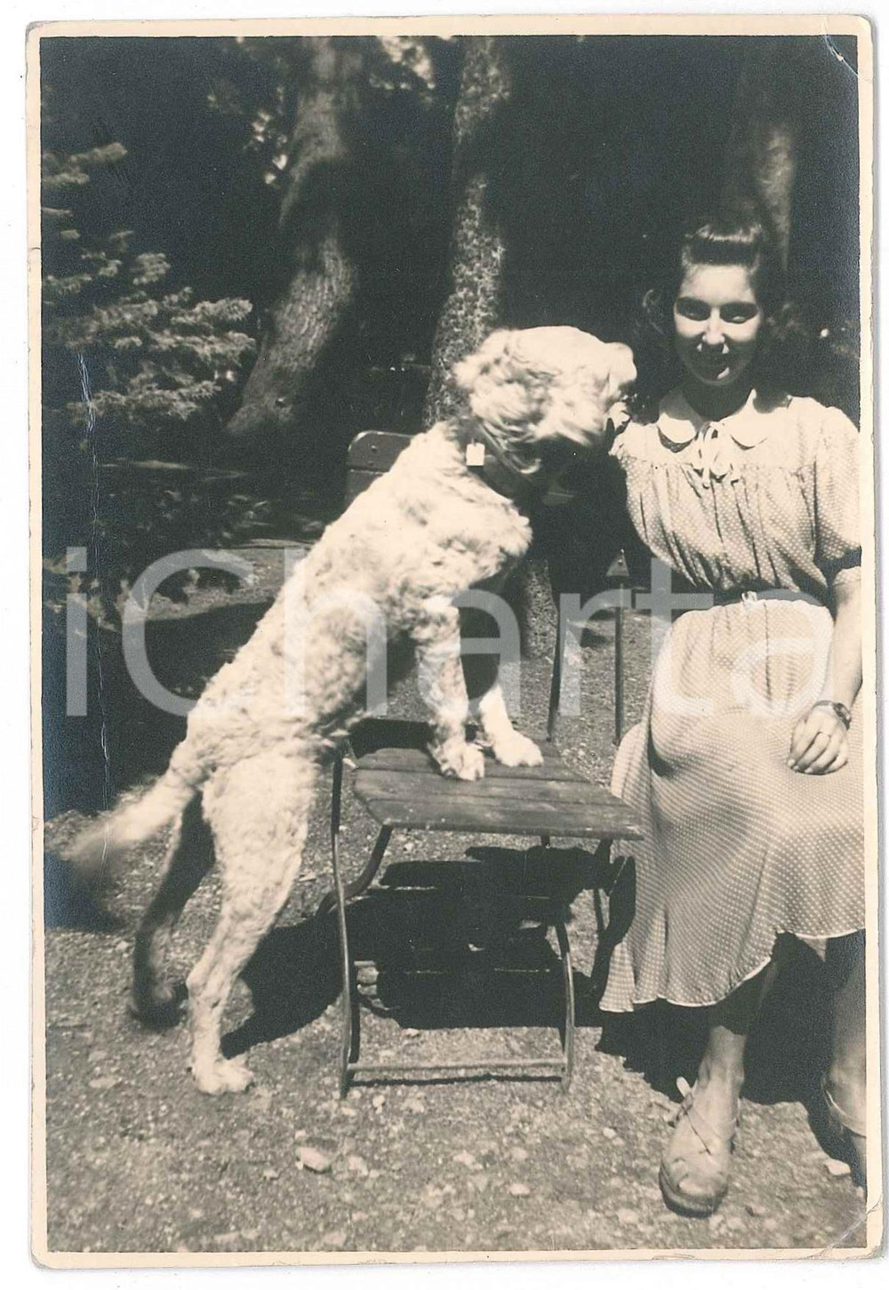 Fotografia d epoca originale 1939 GIAVENO TO Maria Luisa GERARDI con il suo cane  Foto 10x15 cm 1