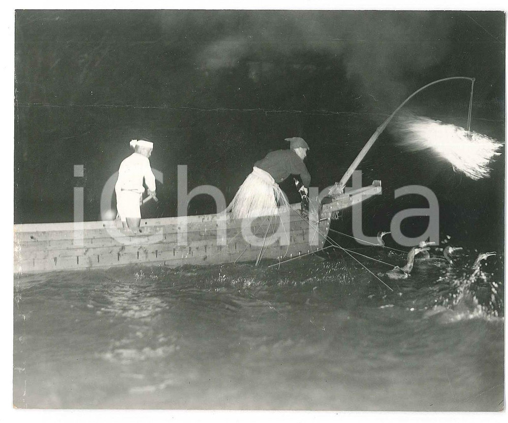 1940 ca JAPAN - FESTIVALS - Cormorant fishing on the Nagara River - Photo 15x10 Fotografia originale d'epoca, con didascalia e timbro al verso. VERY POOR/gravemente danneggiato profonda piegatura orizzontale; piccole piegature angolari Formato: 15x10 cm originale e autentica 1