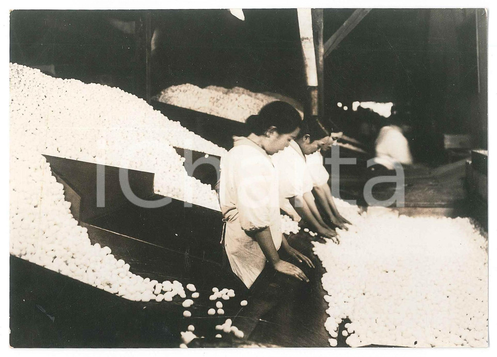 1940 ca JAPAN - TRADITIONAL CRAFTS - Processing of silkworms *Photo 15x11 cm Fotografia originale d'epoca. GOOD/buono minimi residui superficiali Formato: 15x11 cm originale e autentica 1