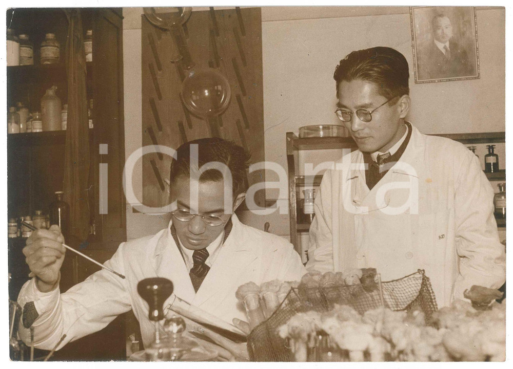 1940 ca JAPAN - SCIENZA - Ricerche batteriologiche contro i vermi uncinati *Foto Fotografia originale d'epoca. FAIR/discreto piccola piegatura angolare; alone diffuso; piccole macchie Formato: 22x16 cm originale e autentica 1