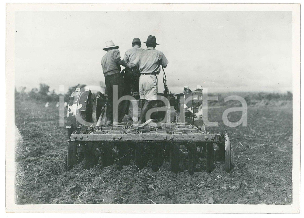 1940 ca JAPAN - AGRICULTURE - Ploughing a field - Photo 18x13 cm Fotografia originale d'epoca, con timbro al verso. GOOD/buono  Formato: 18x13 cm originale e autentica 1