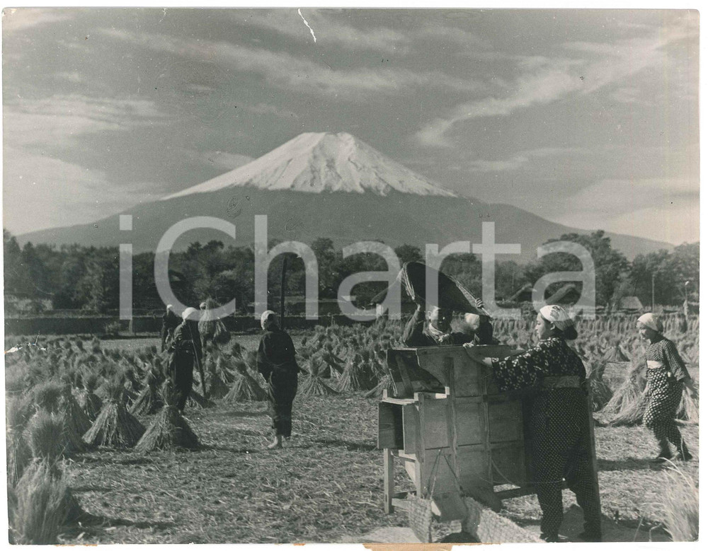 1940 ca JAPAN - Mount FUJI - Women working in the fields - DAMAGED Photo 22x17 Fotografia originale d'epoca, con timbro al verso. VERY POOR/gravemente danneggiato piegature angolari; strappo di circa 4 cm al lato superiore Formato: 22x17 cm originale e autentica 1