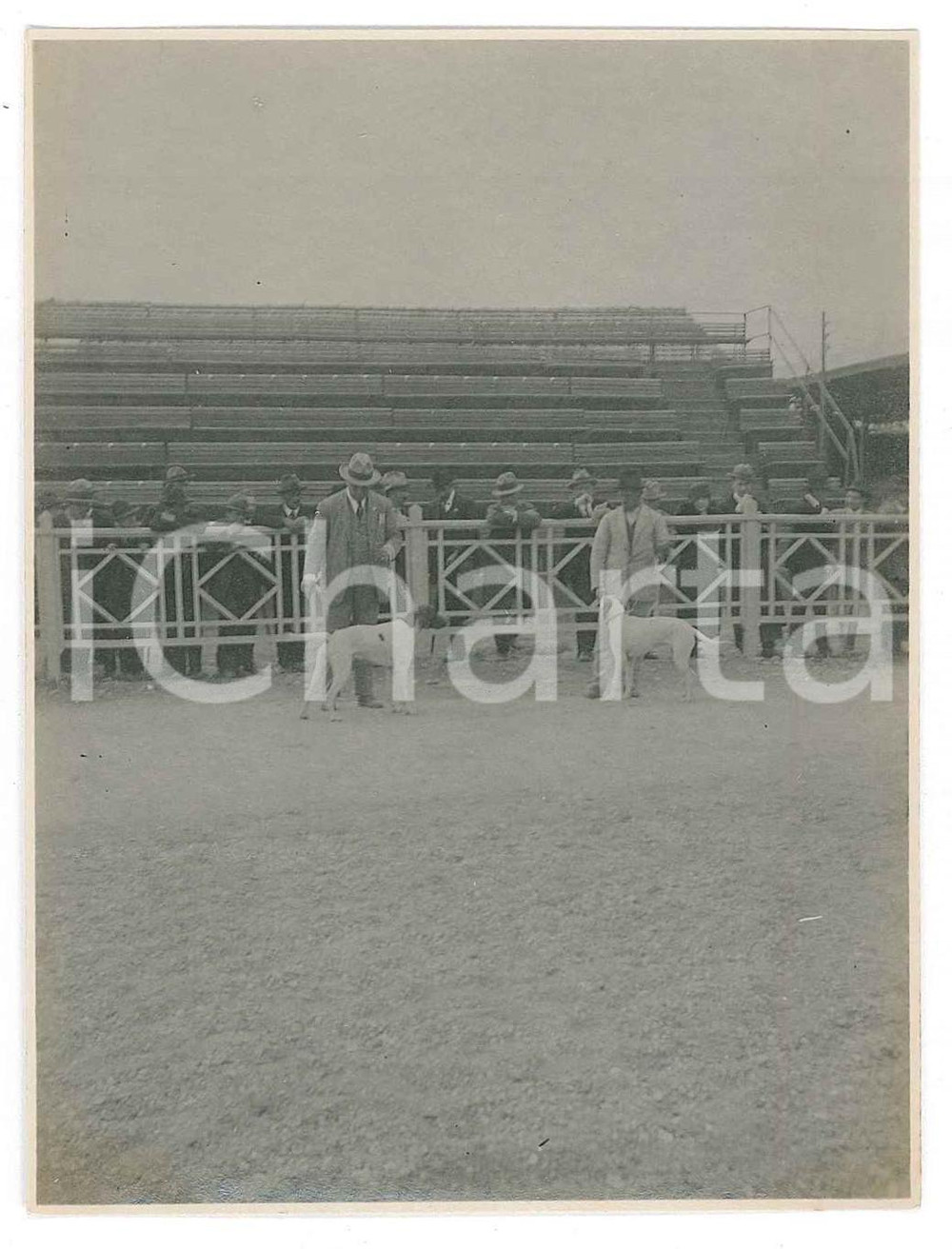 1920 ca BELGIO (?) Cinodromo - Preparazione corsa di cani - Fotografia anonima 4  Fotografia d'epoca. FAIR/discreto Lievi smussature agli angoli, difetti di stampa Formato: 8x6 cm originale e autentica 1