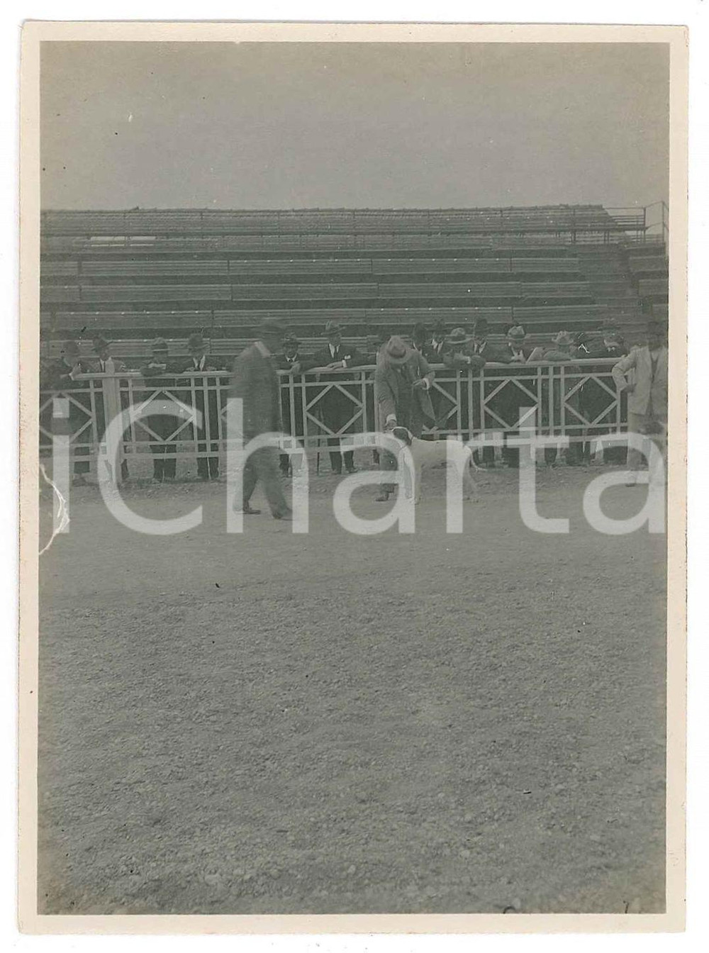 1920 ca BELGIO (?) Cinodromo - Preparazione corsa di cani - Fotografia anonima 1  Fotografia d'epoca. FAIR/discreto Lievi smussature agli angoli, difetti di stampa Formato: 8x6 cm originale e autentica 1