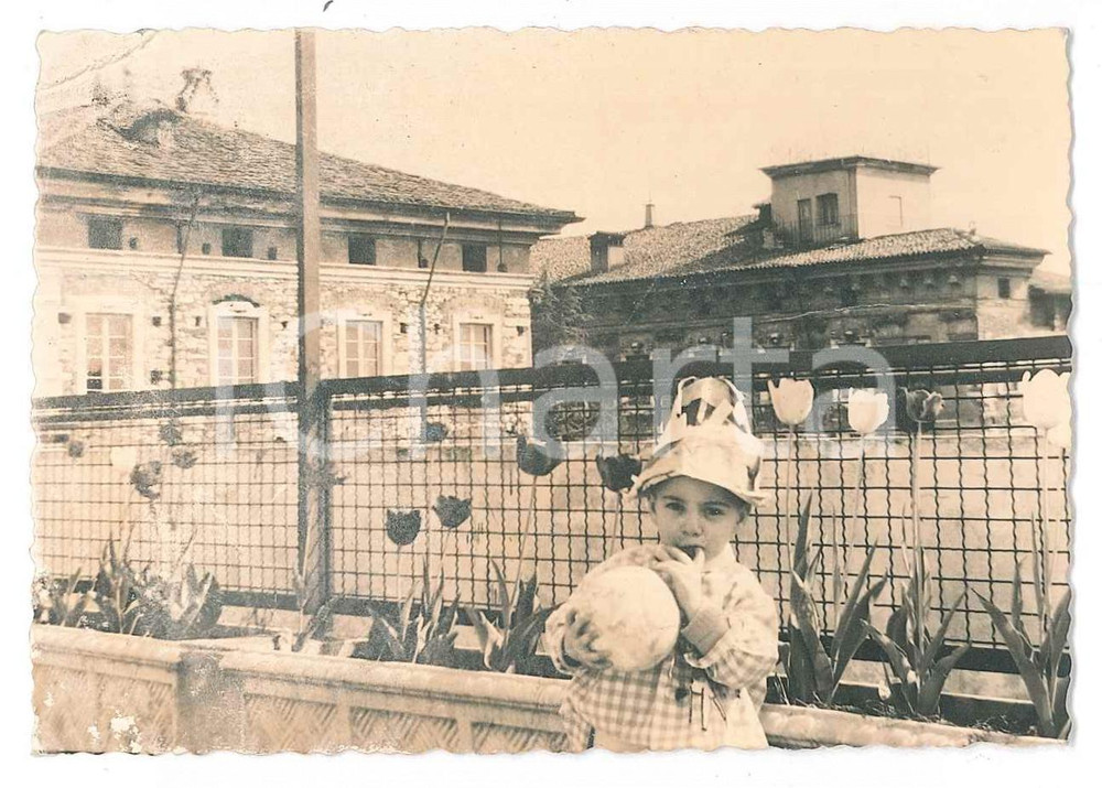 1962 ITALIA Bambino con pallone e tulipani - Fotografia anonima 10x7 cm  Fotografia d'epoca. FAIR/discreto Lievi smussature agli angoli, piegatura all'angolo superiore sinistro Formato: 8x13 originale e autentica 1
