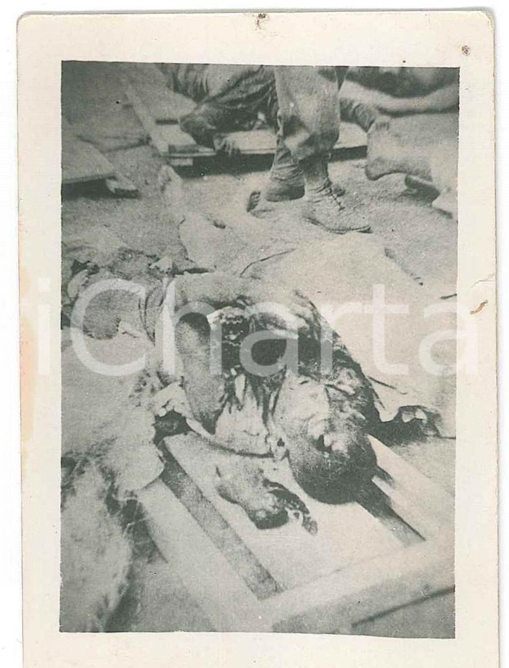 1936 AOI ETIOPIA - Caduti in battaglia - Foto 6x8 cm Fotografia originale d'epoca, con didascalia al verso. GOOD/buono  Formato: 6x8 cm originale e autentica 1