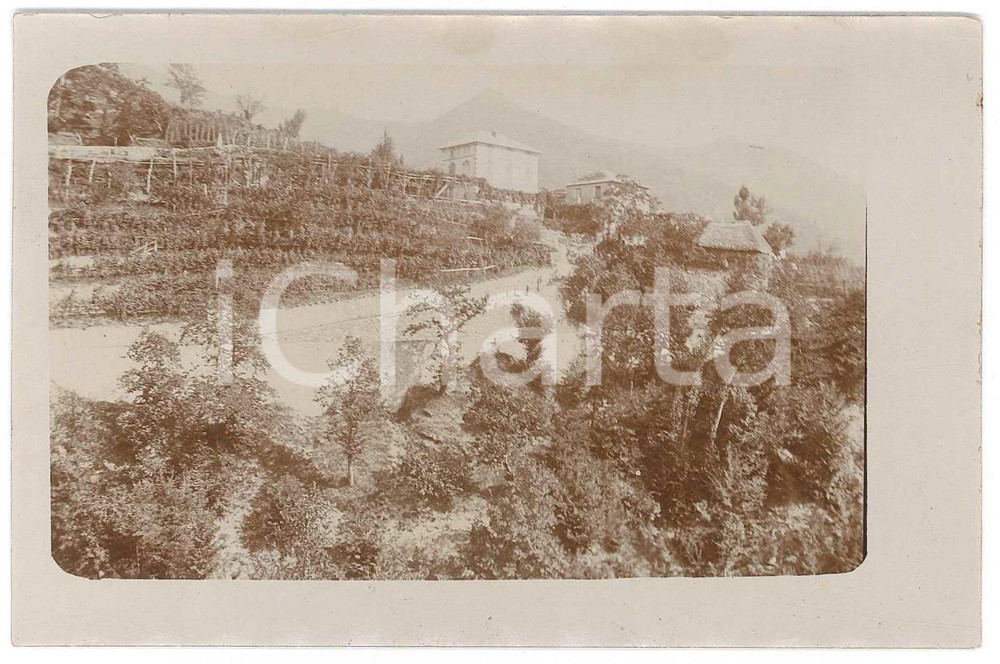 1900 ca EMPOLI Veduta con ville e vigneti - Foto cartolina CIONI e CANTINI Fotografia d'epoca, in formato cartolina postale. GOOD/buono  Formato: 14x9 cm originale e autentica 1