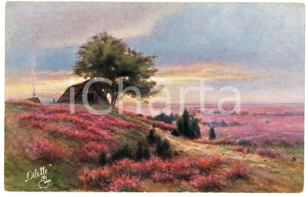 1920 ca Artist Paul GUNTHER Landscape - Postcard serie HEIDELANDSCHAFTEN 438  Cartolina postale d'epoca, non viaggiata. FAIR/discreto Smussature agli angoli Formato: FP originale e autentica 1