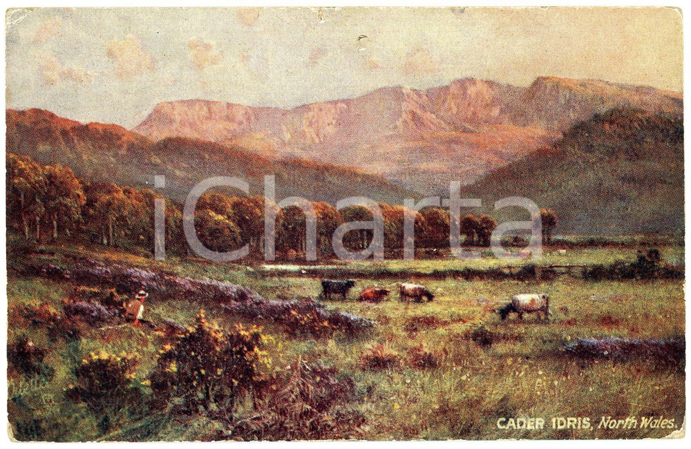 1920 ca UK - CADER IRIS Picturesque North Wales - Landscape - Postcard n.7893  Cartolina postale d'epoca, non viaggiata.EDITORE: Raphael Tuck &amp; Sons FAIR/discreto Smussature agli angoli, piccolo strappo al margine superiore Formato: FP originale e autentica 1