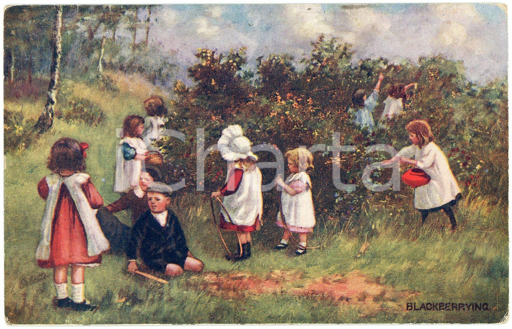 1912 CHILDREN Blackberrying - When all is young ILLUSTRATED Postcard n.9855  Cartolina postale d'epoca, viaggiata. FAIR/discreto Smussature agli angoli Formato: FP originale e autentica 1