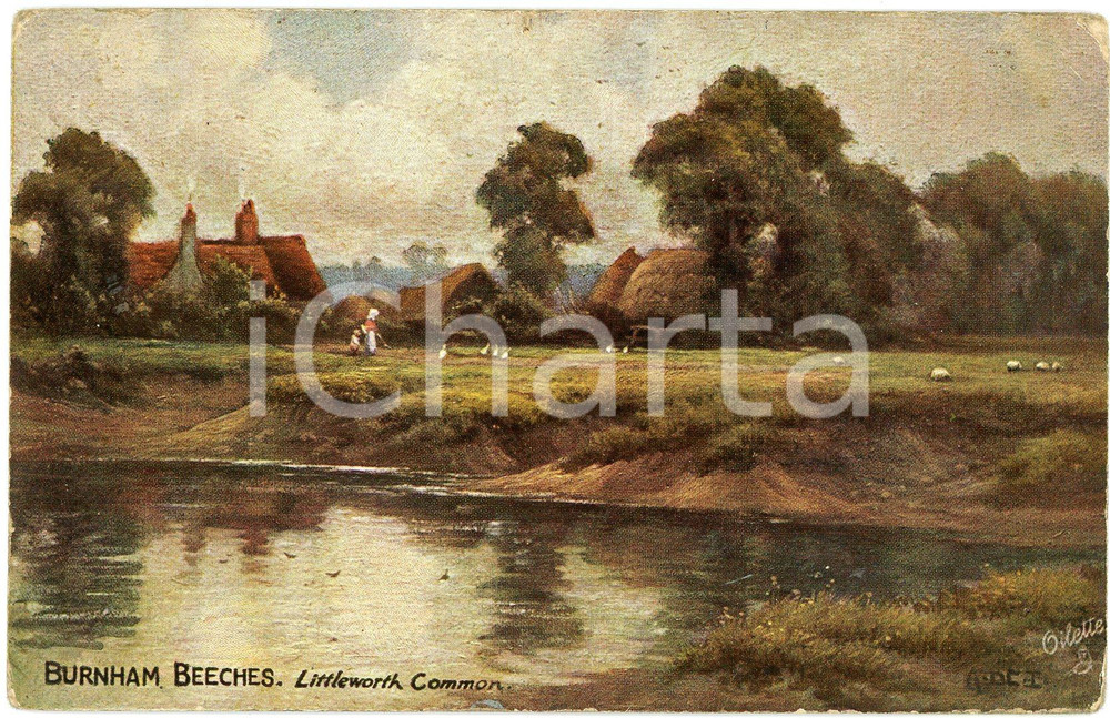 1920 ca BURNHAM BEECHES Littleworth Common ILLUSTRATED Postcard n.9543  Cartolina postale d'epoca, non viaggiata.EDITORE: Raphael Tuck &amp; Sons FAIR/discreto Smussature  e piegature agli angoli Formato: FP originale e autentica 1