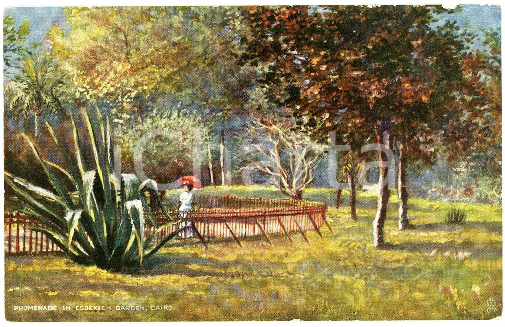 1920 ca CAIRO Promenade in ESBEKIEH Picturesque Egypt - Postcard n.7202  Cartolina postale d'epoca, non viaggiata.EDITORE: Raphael Tuck &amp; Sons FAIR/discreto Smussature  agli angoli, sbrecciature ai margini Formato: FP originale e autentica 1