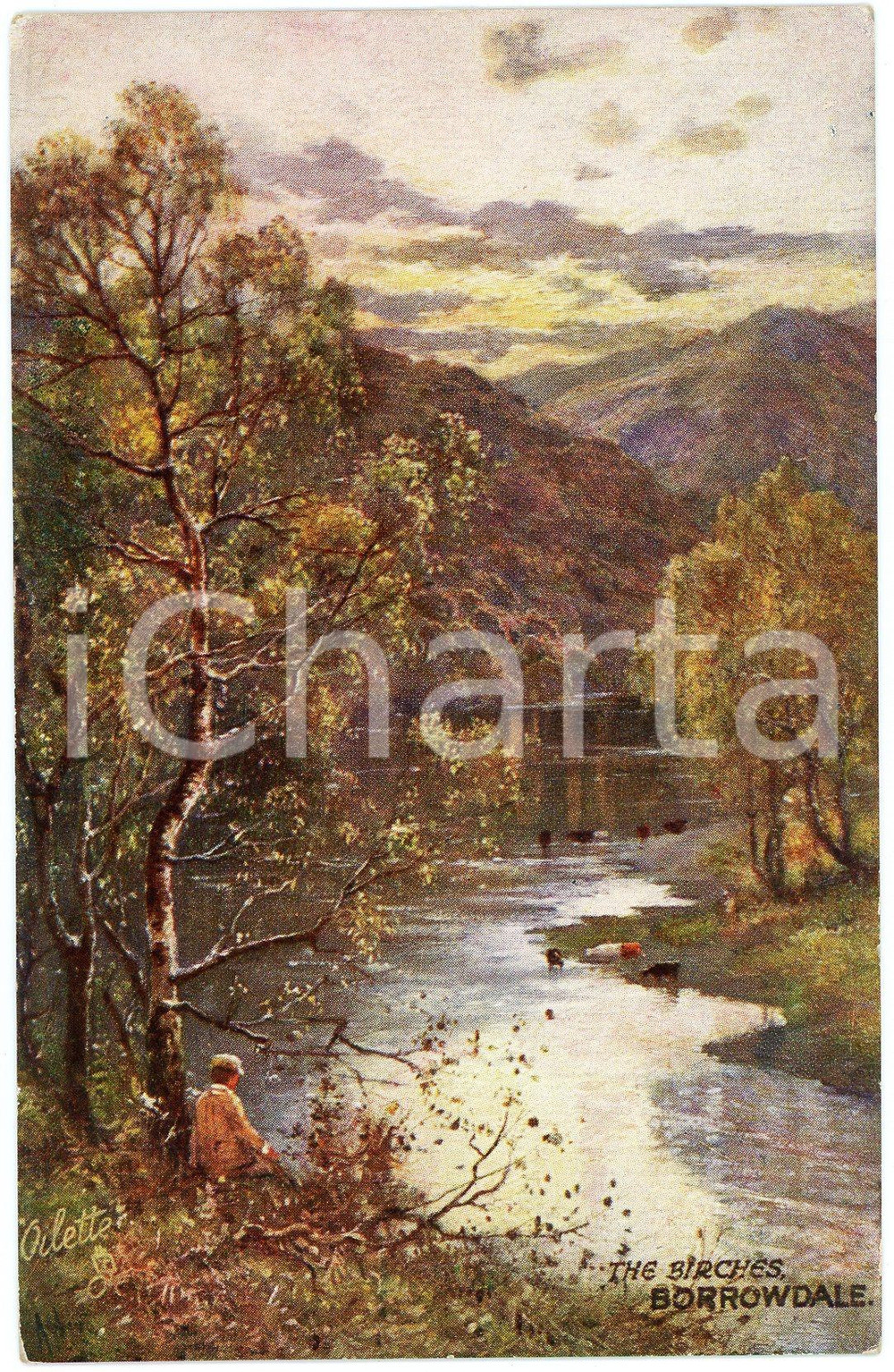 1920 ca BORROWDALE Birches - Picturesque engllish lakes - Postcard n.7895  Cartolina postale d'epoca, non viaggiata.EDITORE: Raphael Tuck &amp; Sons FAIR/discreto Smussature  agli angoli, Formato: FP originale e autentica 1