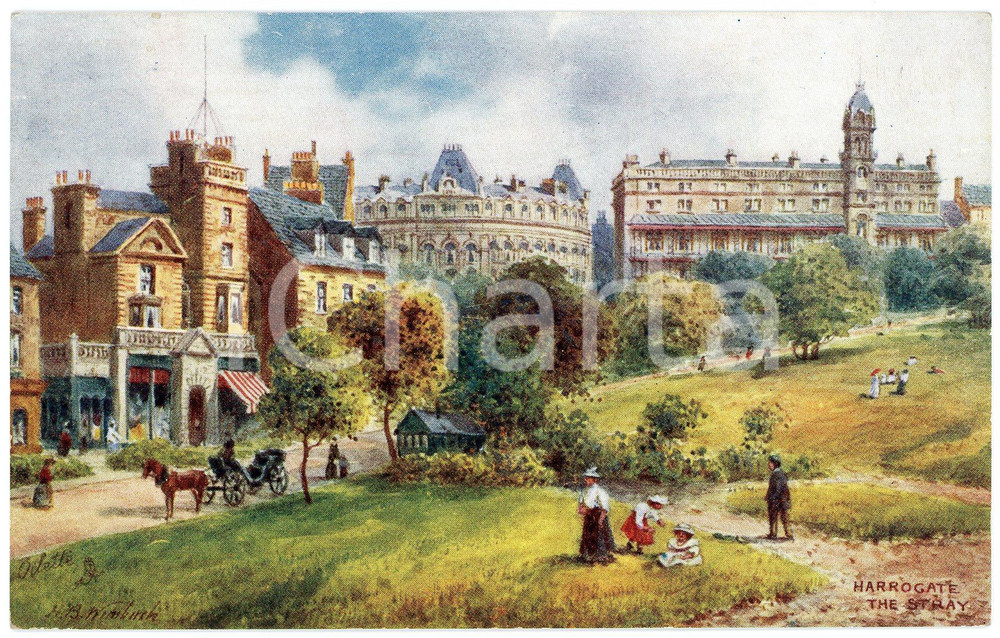 1920 ca HARROGATE (UK) The stray ILLUSTRATED Postcard n. 7792