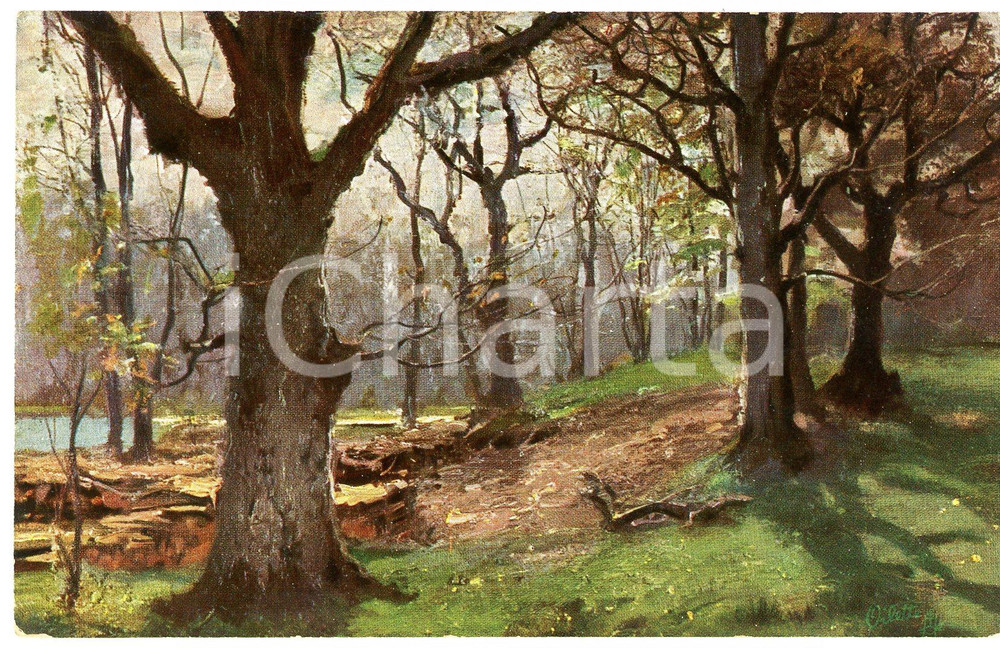 1920 ca Artist Dr. MULLER-KURZWELLY Der deutsche wald ILLUSTRATED Postcard 824  Cartolina postale d'epoca, non viaggiata. POOR/danneggiato Smussature agli angoli e macchie al verso Formato: FP originale e autentica 1