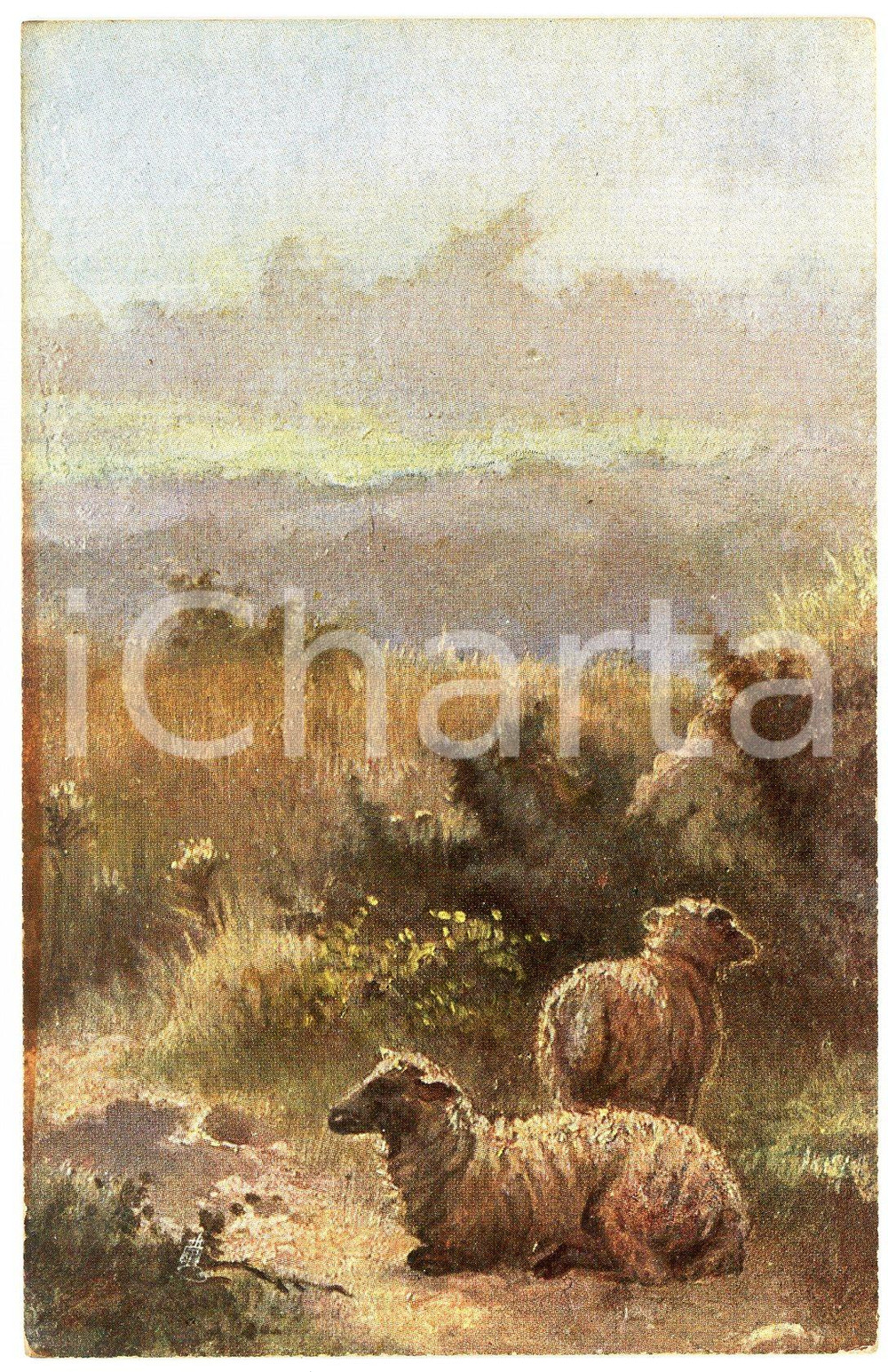 1920 ca Artist Harry PAYNE Sunrise on the hills ILLUSTRATED Postcard n.9009  Cartolina postale d'epoca, non viaggiata. POOR/danneggiato Smussature agli angoli Formato: FP originale e autentica 1