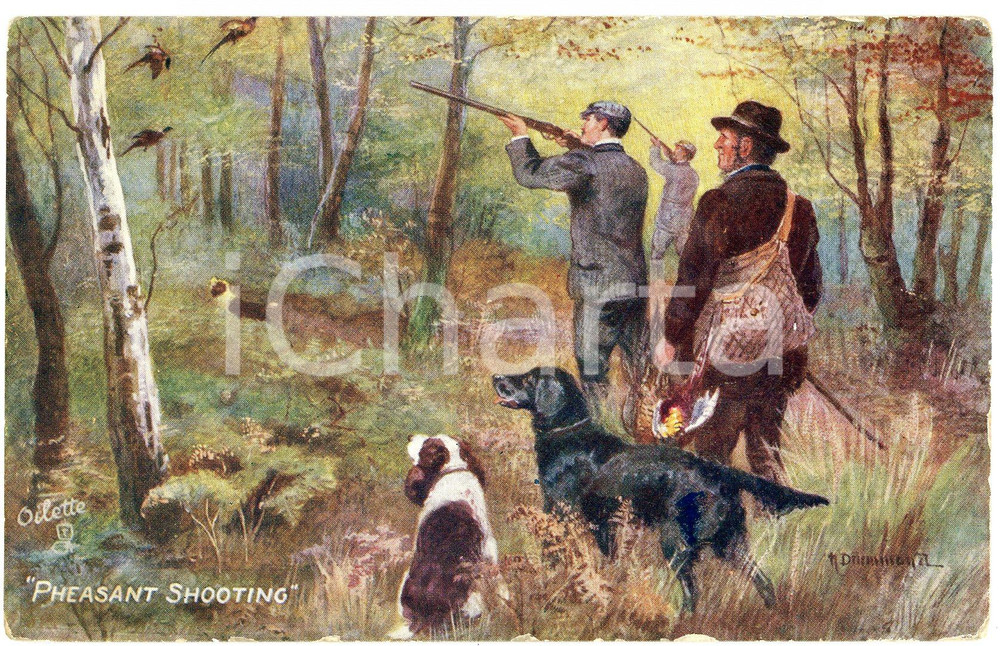 1920 ca WITH DOG AND GUN Pheasant shooting ILLUSTRATED Postcard n. 9273  Cartolina postale d'epoca, viaggiata.EDITORE: Raphael Tuck &amp; Sons FAIR/discreto Smussature agli angoli e sbrecciature ai margini Formato: FP originale e autentica 1