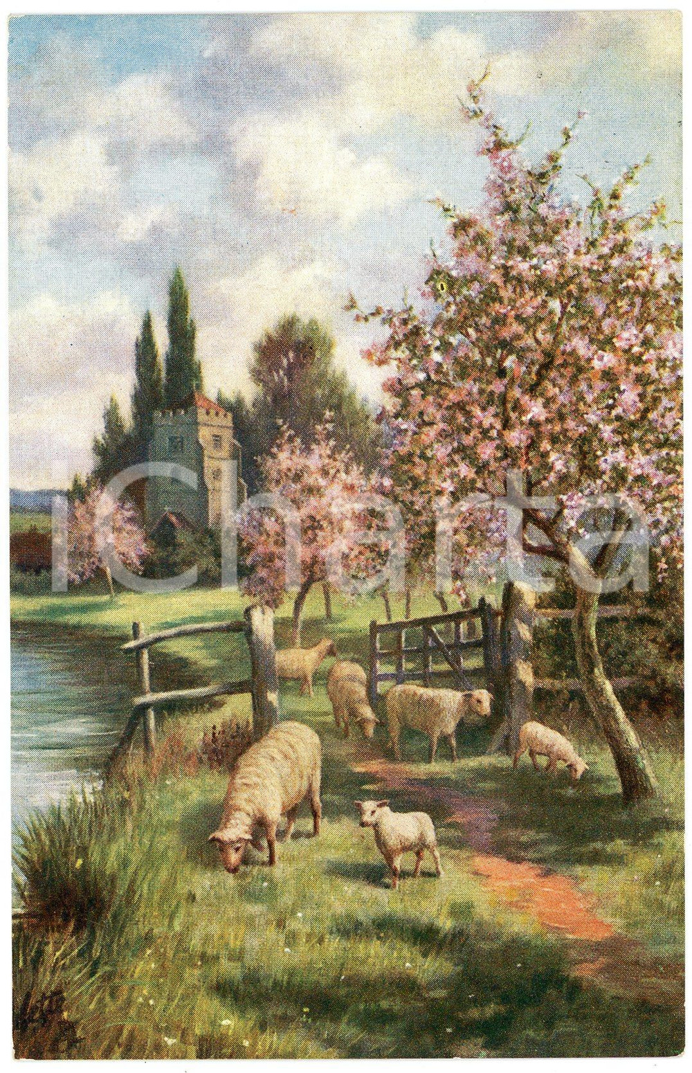 1916 JOYOUS SPRING Sheeps and cherry blossoms ILLUSTRATED Postcard n.9918  Cartolina postale d'epoca, non viaggiata.EDITORE: Raphael Tuck &amp; Sons FAIR/discreto Smussature agli angoli Formato: FP originale e autentica 1