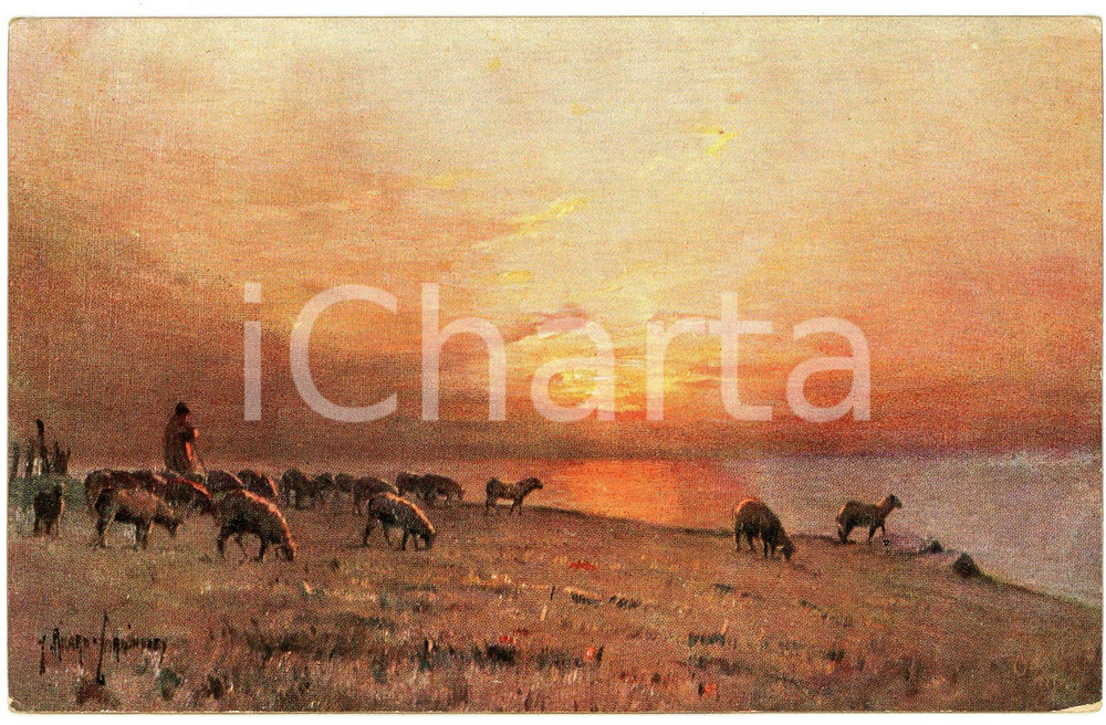 1920 ca SUNSET Shepherd and sheep by the sea ILLUSTRATED Postcard n.828  Cartolina postale d'epoca, non viaggiata.EDITORE: Raphael Tuck &amp; Sons FAIR/discreto Smussature agli angoli Formato: FP originale e autentica 1