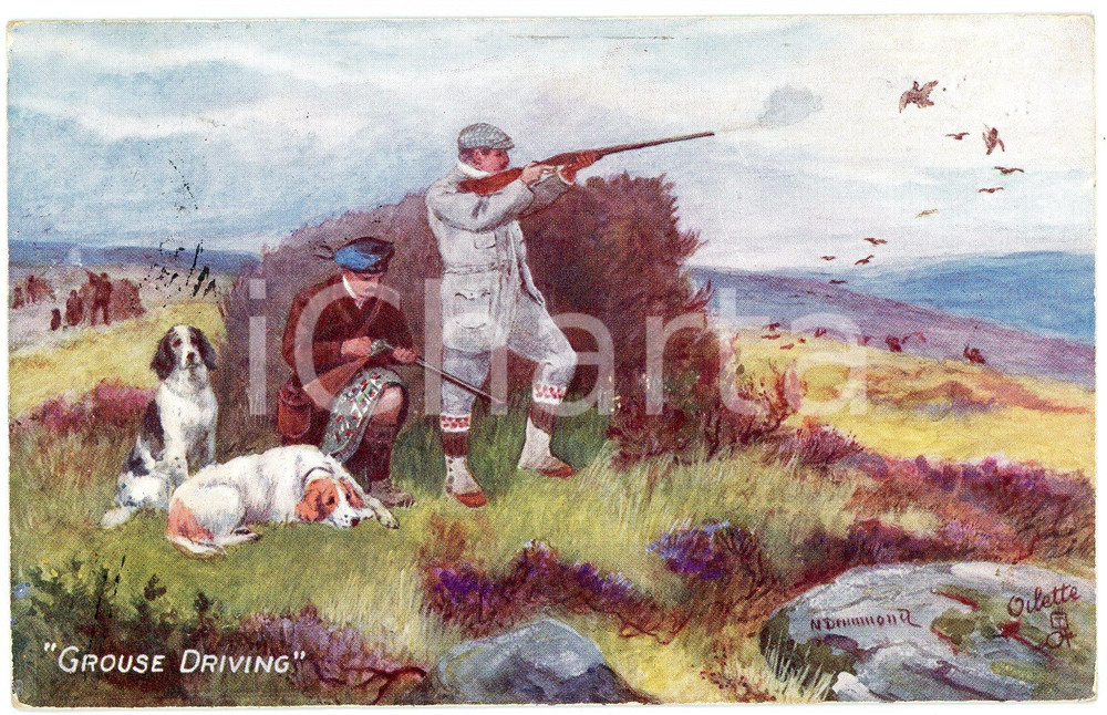 1914 PERTHSHIRE Grouse shooting - With dog and gun ILLUSTRATED Postcard 9273  Cartolina postale d'epoca, viaggiata.EDITORE: Raphael Tuck &amp; Sons FAIR/discreto Smussature agli angoli Formato: FP originale e autentica 1